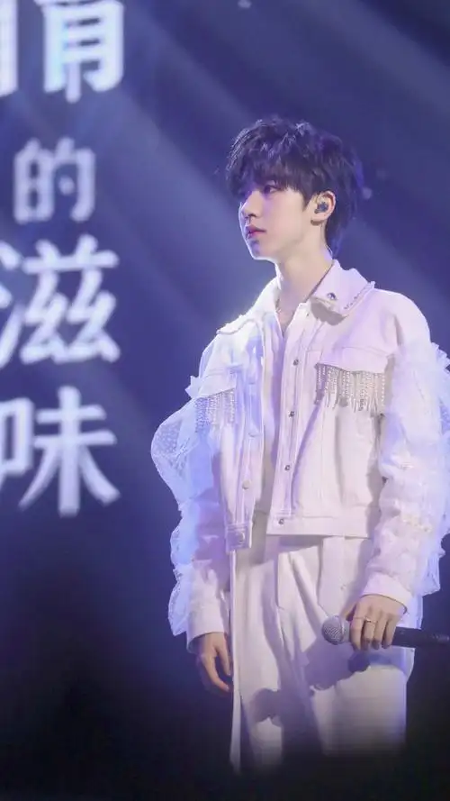 贺峻霖面纱造型##贺峻霖 翩羽惊鸿清韶声