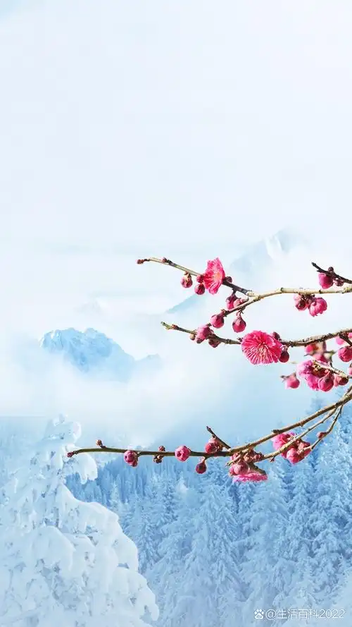 用一张图形容冬季# 七绝·冬至感怀 至日阳生春意和,梅花开遍雪中过.