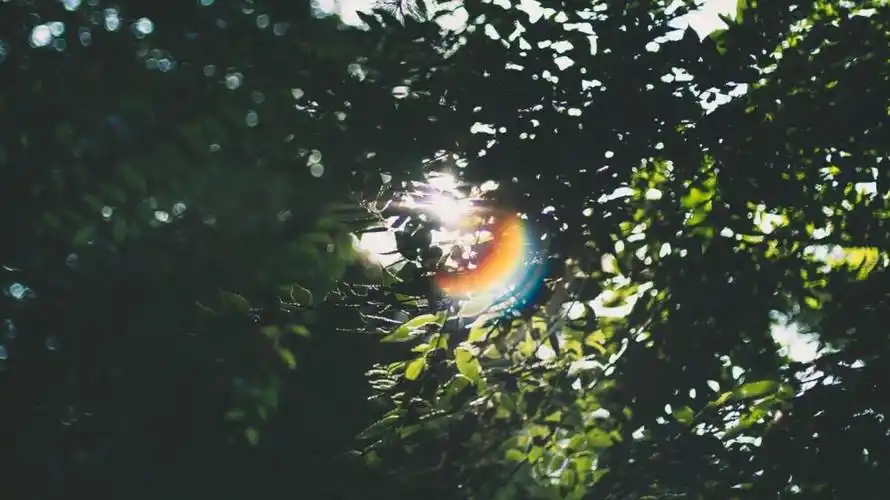 11:29精选内容#高清壁纸无水印##ins手机卡通壁纸简约可爱全屏无水印