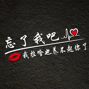 忘了他吧车贴我拉啥也养不起你了网红同款文字贴纸挖机个性装饰贴