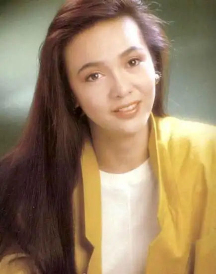 tvb40年十大美丽花旦--郑裕玲