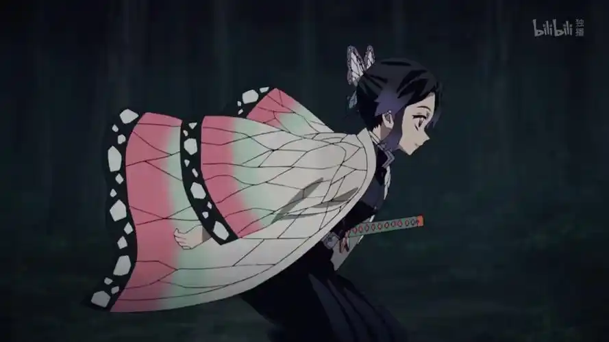 蝴蝶忍 - 堆糖,美图壁纸兴趣社区