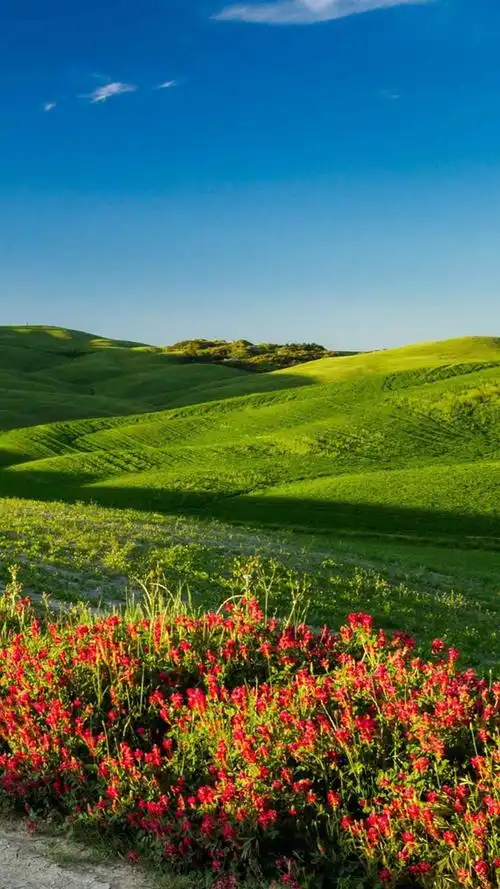 壮阔草原风景竖屏手机壁纸第3页_高清手机壁