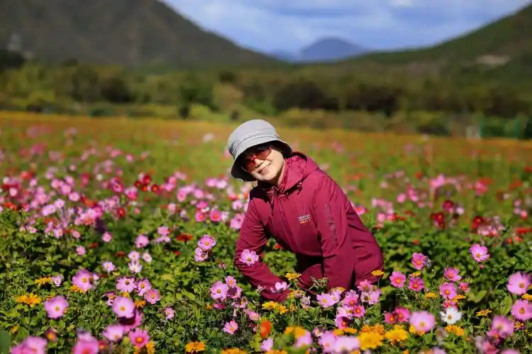 秋游怀柔圣泉山千亩花海留影