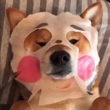 沙雕头像高清各种类型的逗比沙雕图片搞笑头像