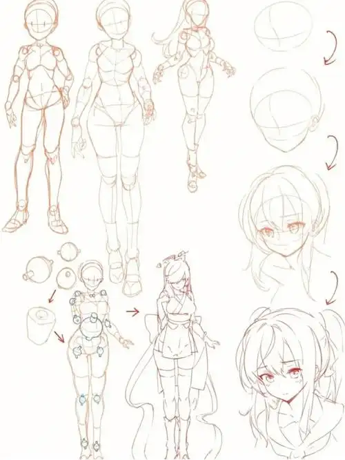 绘画参考人体动态结构躯干画法教程