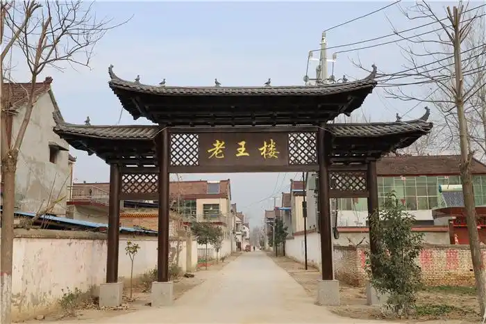 实施的人居环境整治,鹿邑县高集乡老王楼村在外工作的王先生赞不绝口