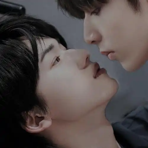 爱情不是终点陪伴才是归宿