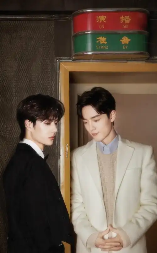 王一博肖战/博君一肖/一战组合/哥哥弟弟