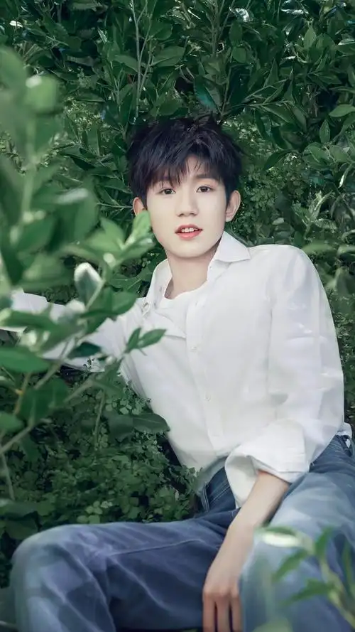 王源森林中的精灵