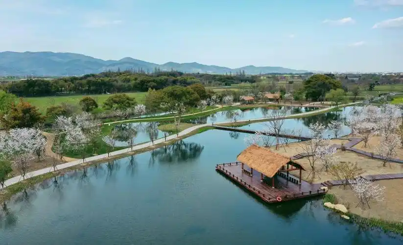 良渚遗韵!余杭此处即将全新亮相!_澎湃号·政务_澎湃新闻-the paper