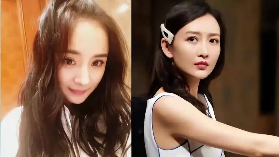 蒲巴甲_徐冬冬_杨幂