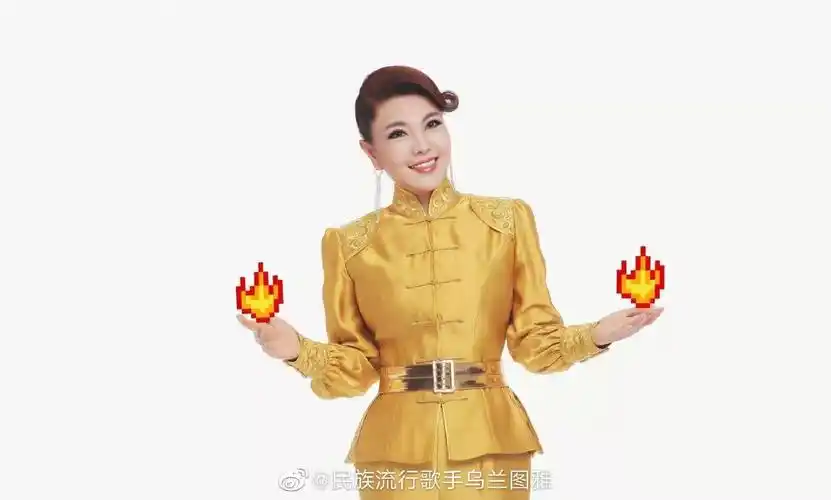 乌兰图雅公司注册躲汉子商标