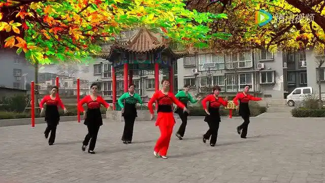 珍儿广场舞《火红的萨日朗》,最新演示