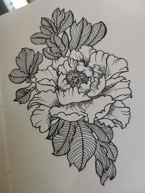 临摹《一笔一世界》牡丹又名富贵花,品种繁多,色泽艳丽,有"花中之王"