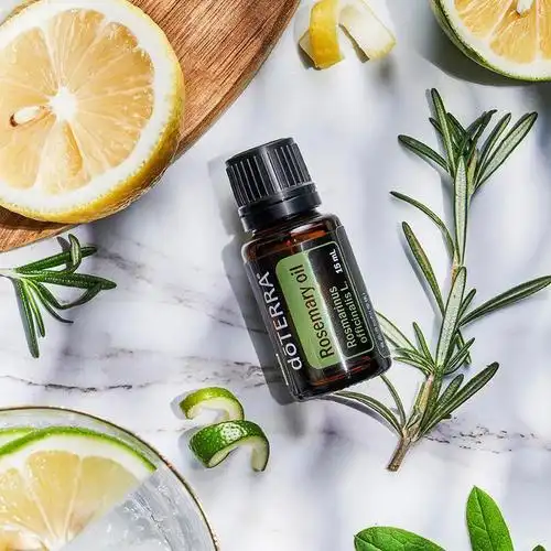 迷迭香的名字来自罗马人,罗马人将其命名为rosemary(海之朝露),因为