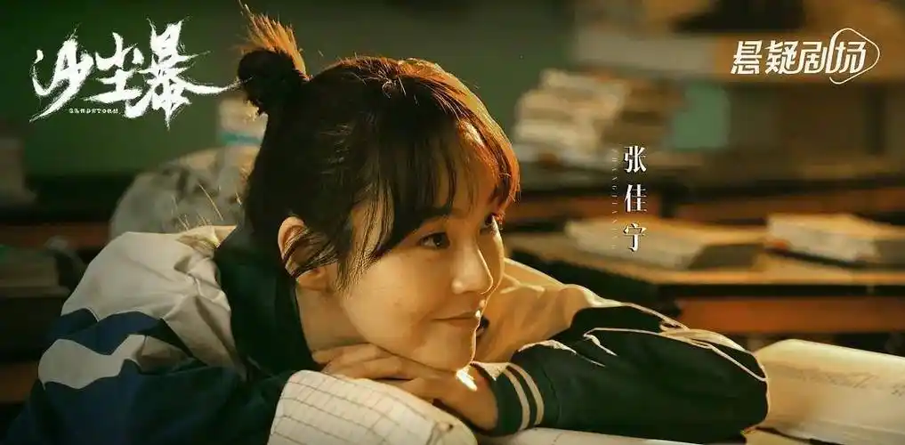 3,《沙尘暴》梅婷,陆毅领衔主演,还有邬君梅,奚美娟,刘钧,吴倩,高露