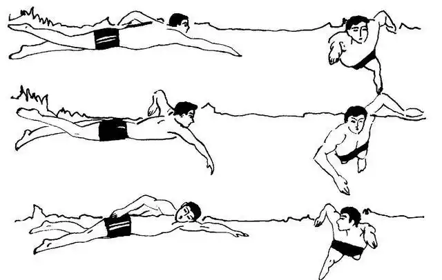 自由泳是最常见的一种泳姿,也是速度最快的一种泳姿.