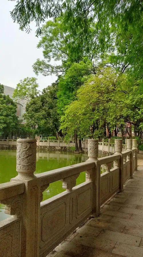 中山大学校园随拍