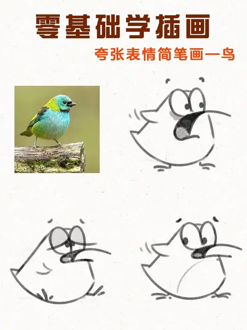 92小鸟动物简笔画|夸张表情化画法～#零基础学画画 #简笔画 - 抖音