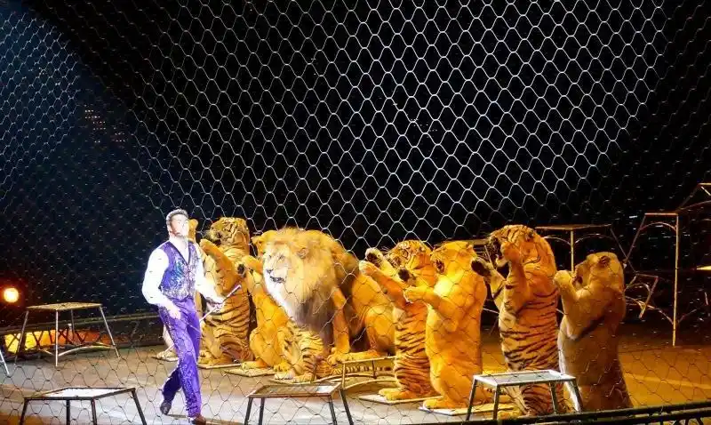 人民日报我们该用动物表演取乐吗