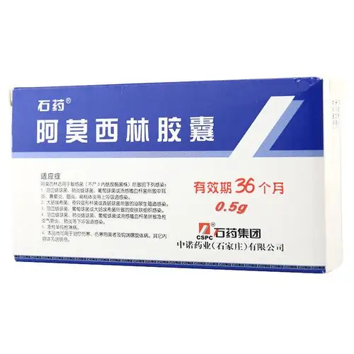 石药 阿莫西林胶囊 0.