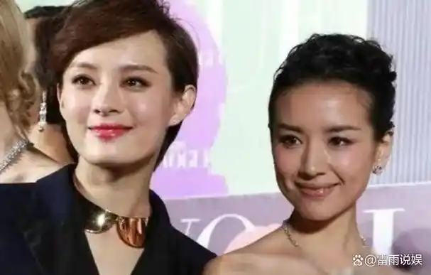 孙俪是不是顶级美女呢?看她和章子怡等人的合照就知道了