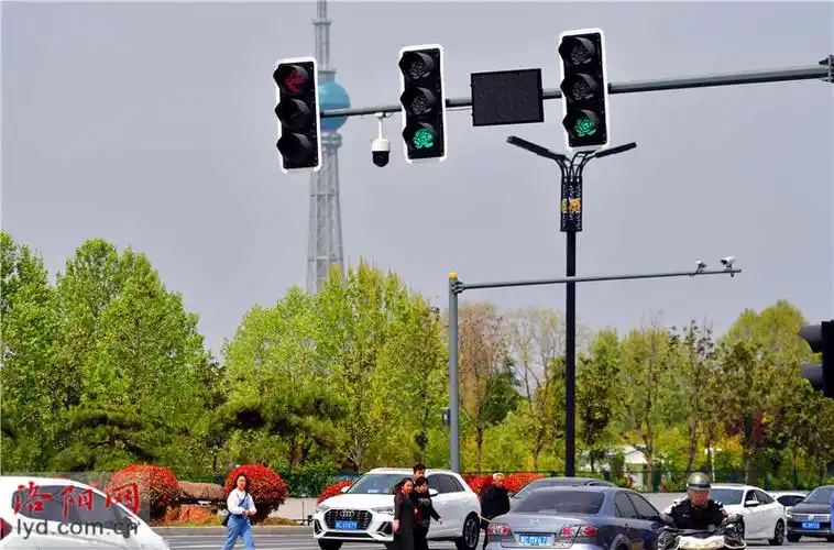 有创意洛阳牡丹形状红绿灯上岗