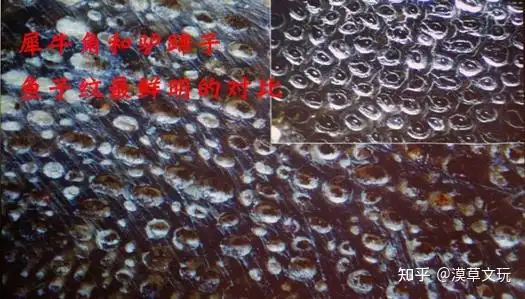 犀牛角真假用灯照能分辨吗? - 知乎