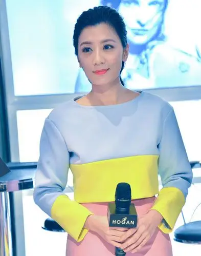 贾静雯出席品牌hogan武汉国际广场购物中心活动