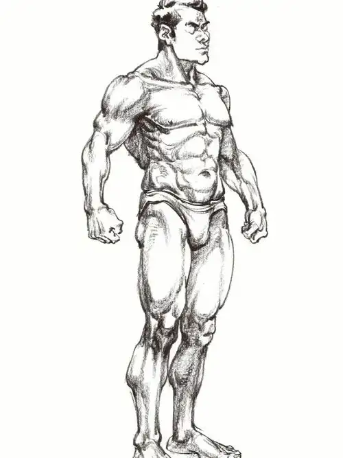 人体肌肉结构图78默写必备78