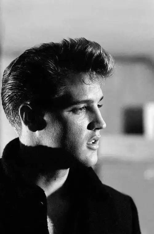 一个发型:猫王飞机头/蓬巴杜立发这个发型最早是法国路易十五的情妇