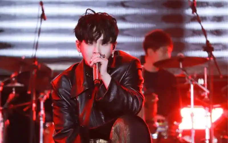 周震南 安阳音乐节直拍