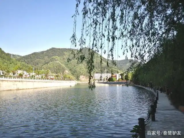 安家河岸边柳条垂落在水面.