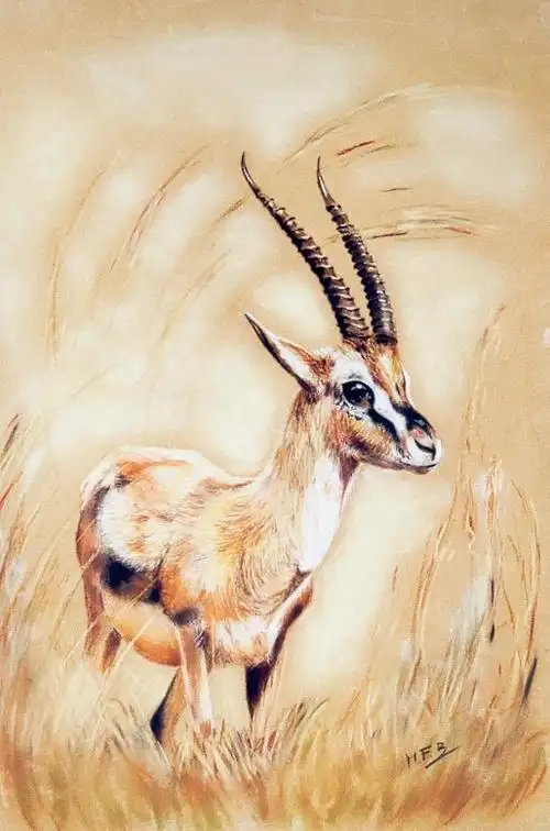 艺术品 >> marie-france berthollet >> 羚羊