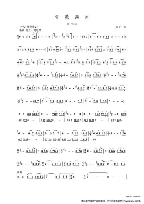 青藏高原(笛子独奏)