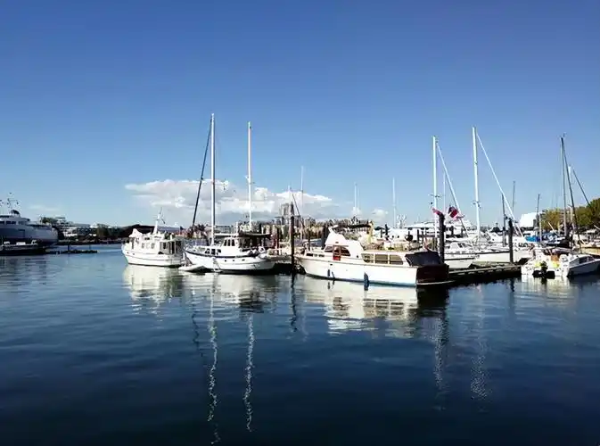 曾经的世界第一渔港,禁捕20年仍无鱼可捕,堪称"断子绝孙"