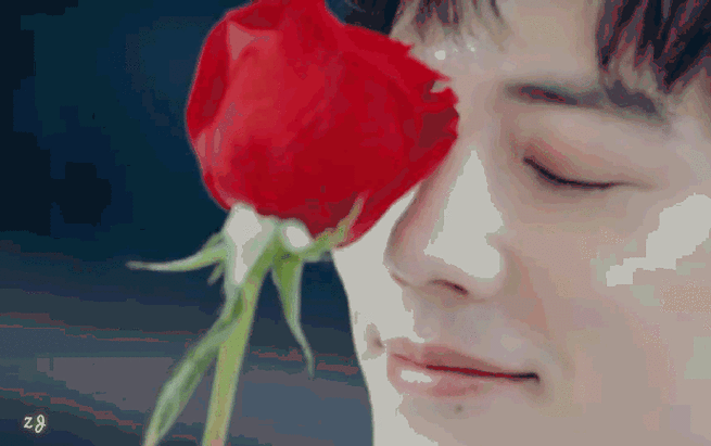 肖战与玫瑰花的适配度!
