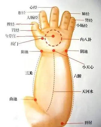 禅一老师教小儿推拿之运内八卦