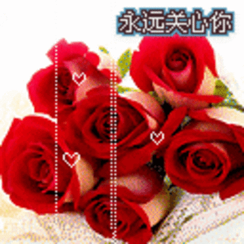 玫瑰qq表情