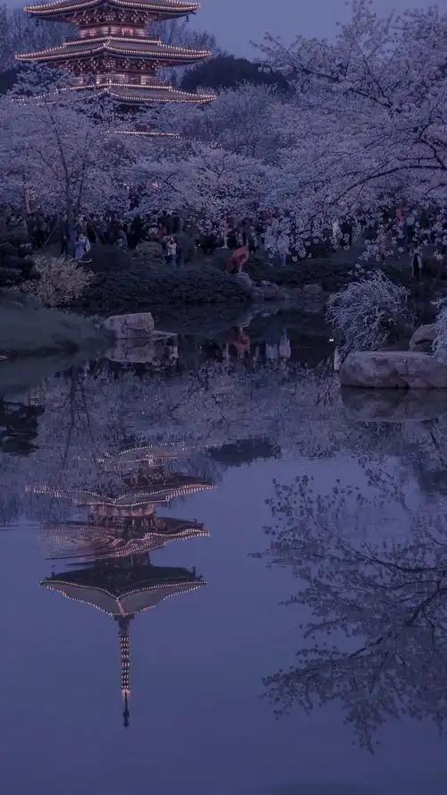 花海- 堆糖,美图壁纸兴趣社区