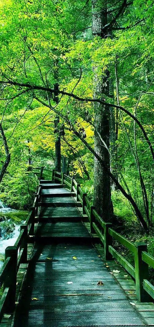 微信护眼聊天背景图片(手机壁纸背景图片) - 赤虎壹号