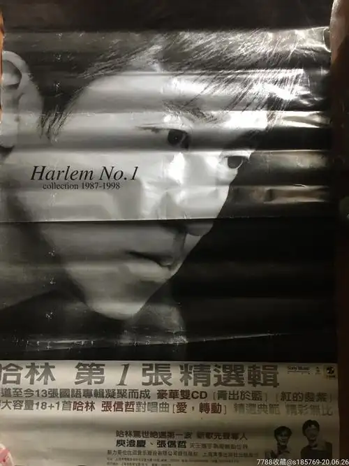 哈林庾澄庆第一张精选专辑唱片宣传海报
