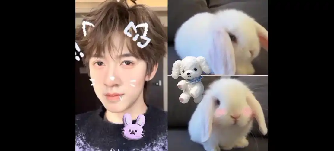【贺峻霖】他真的好像一只兔子,霖霖兔啊
