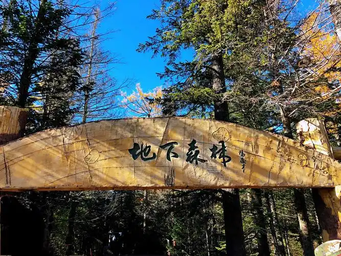 谷底森林亦称地下森林,是长白山海拔最低的胜景区.