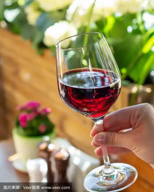 绿色背景.夏季露台.太阳照耀着,天气很热.酒精饮料.红酒.