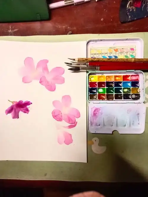 零基础自学水彩最近的练习