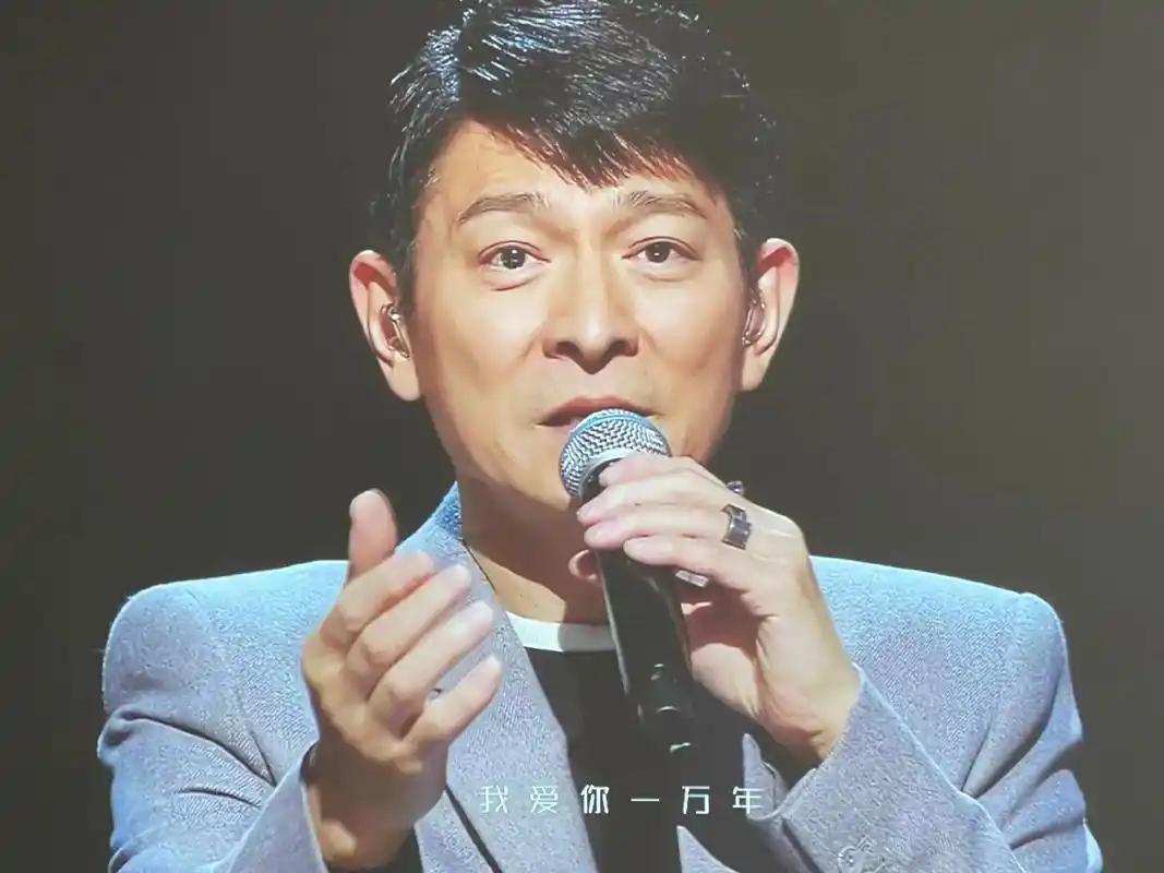 刘德华把我唱给你听