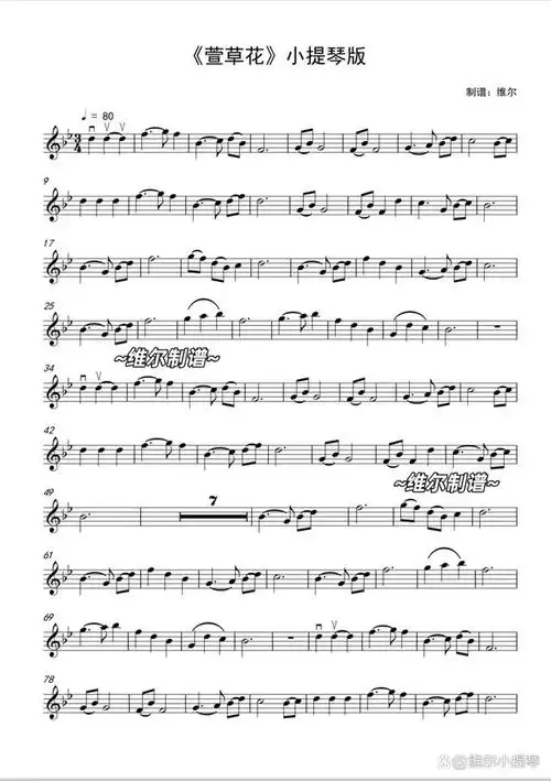 《萱草花》小提琴版曲谱来啦