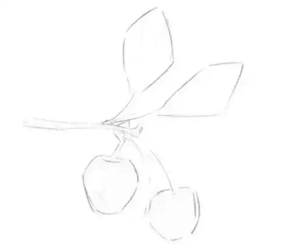 初级素描绘画樱桃-露西学画画